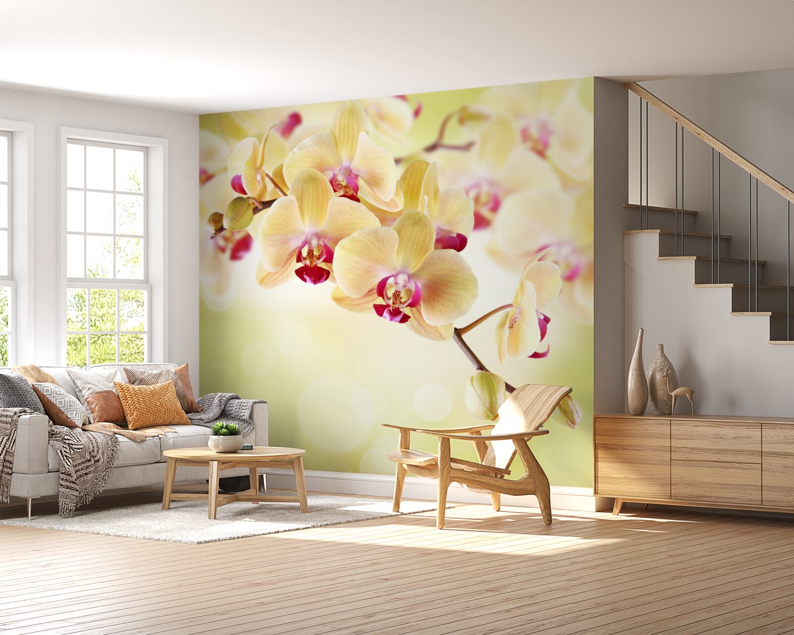 Fototapeta miękka kremowa orchidea z wdzięcznymi pąkami