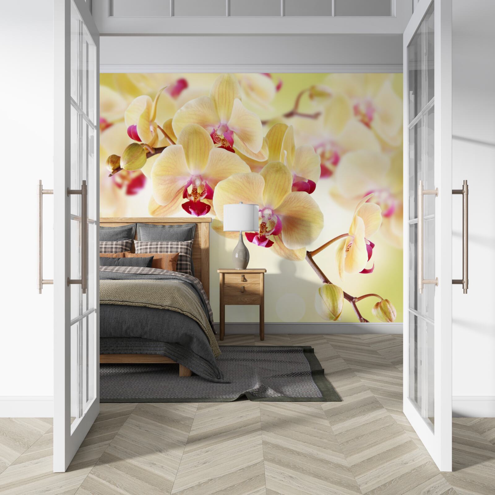 Fototapeta miękka kremowa orchidea z wdzięcznymi pąkami