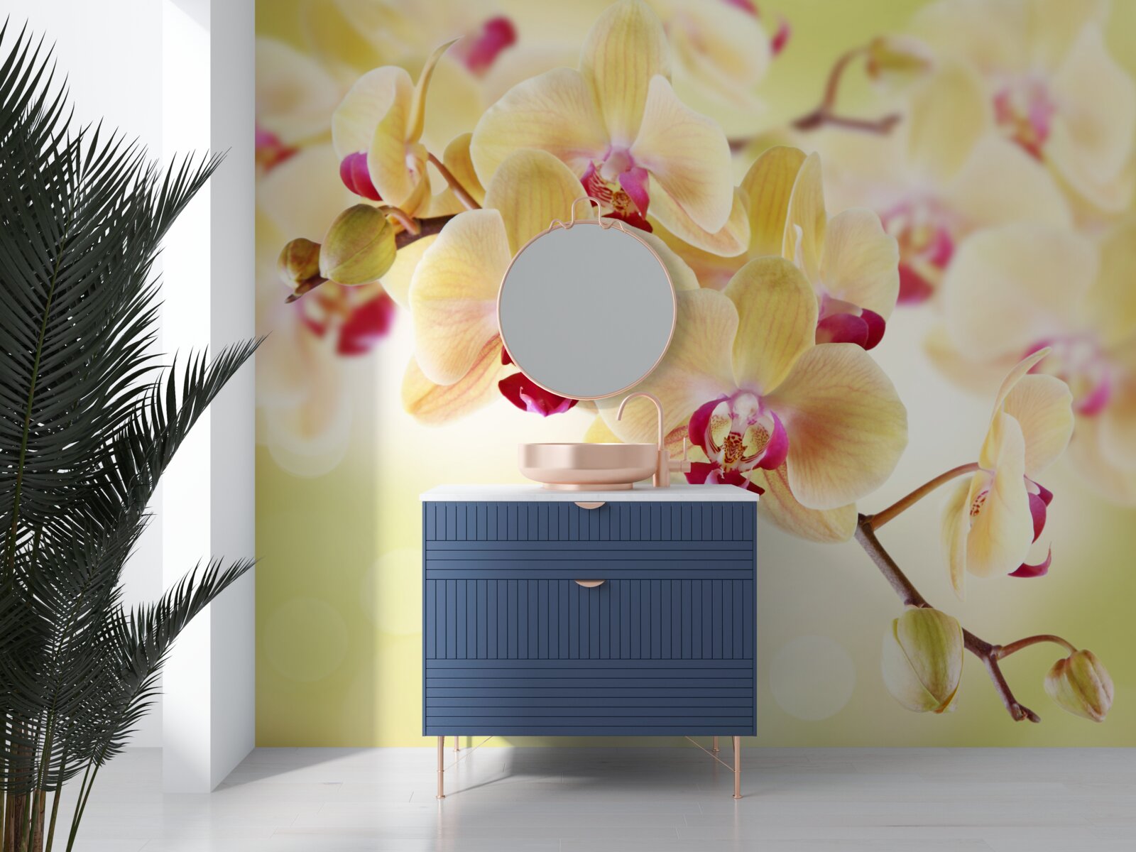 Fototapeta miękka kremowa orchidea z wdzięcznymi pąkami
