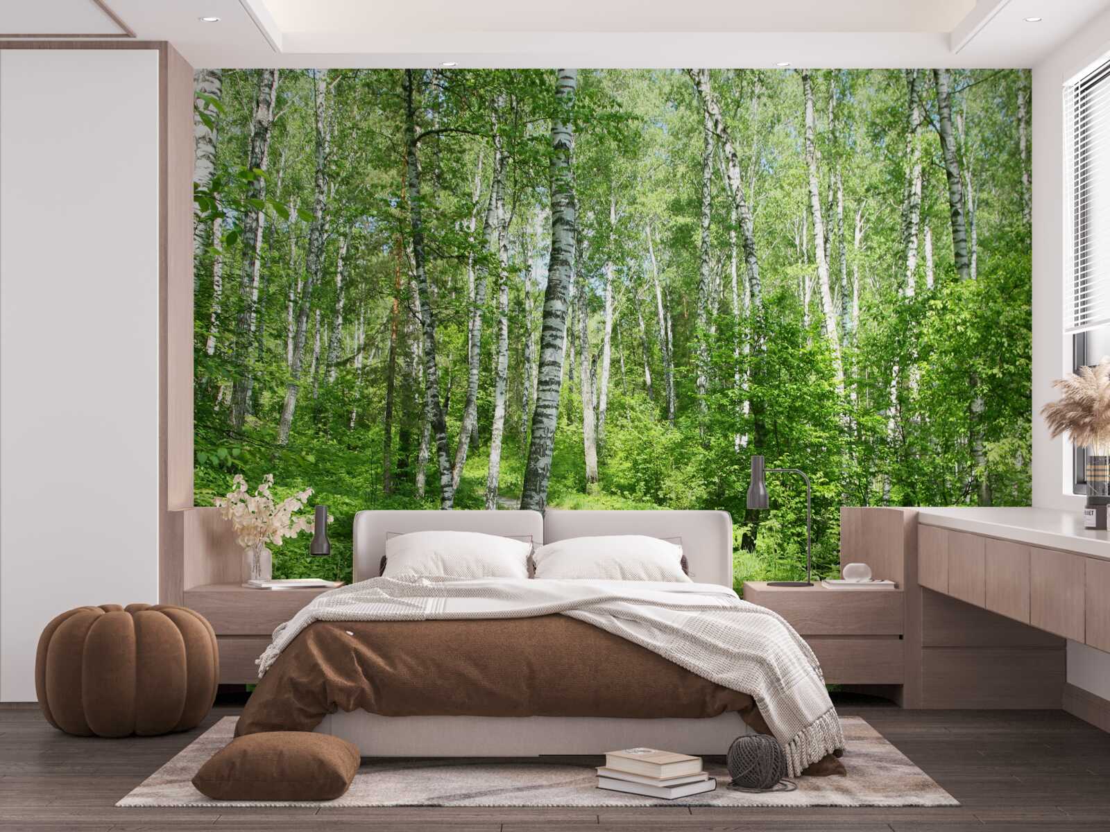 Fototapeta ścieżka do zielonego gaju brzozowego