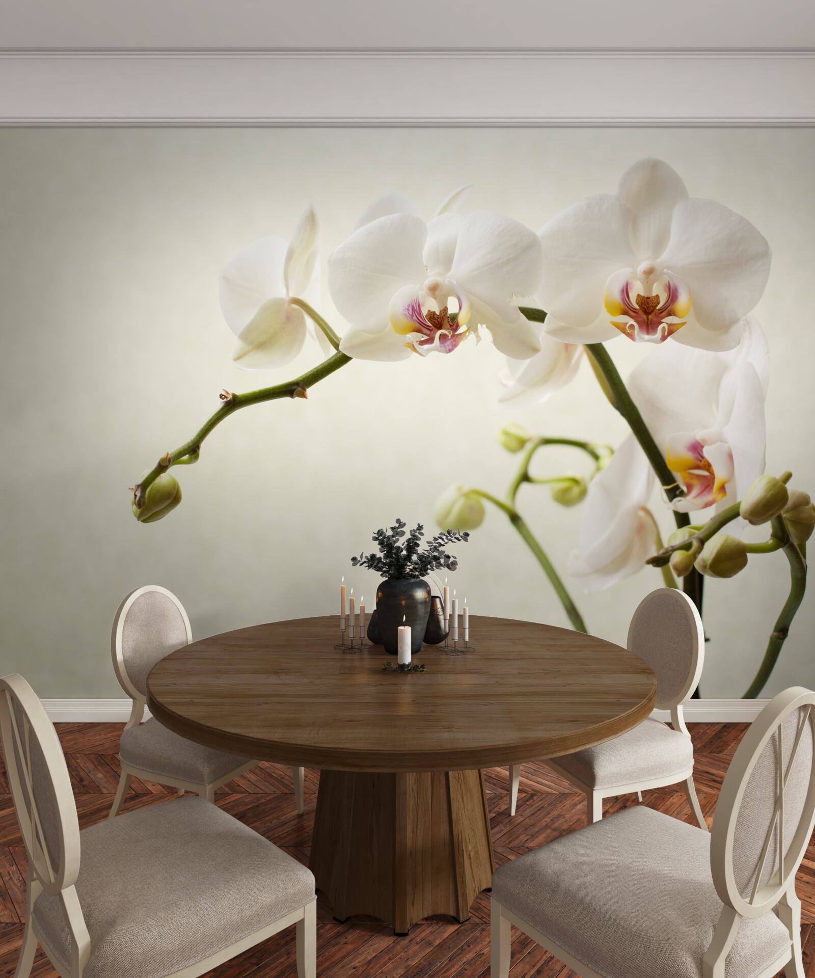 Fototapeta gałęzie białej orchidei na jasnym tle