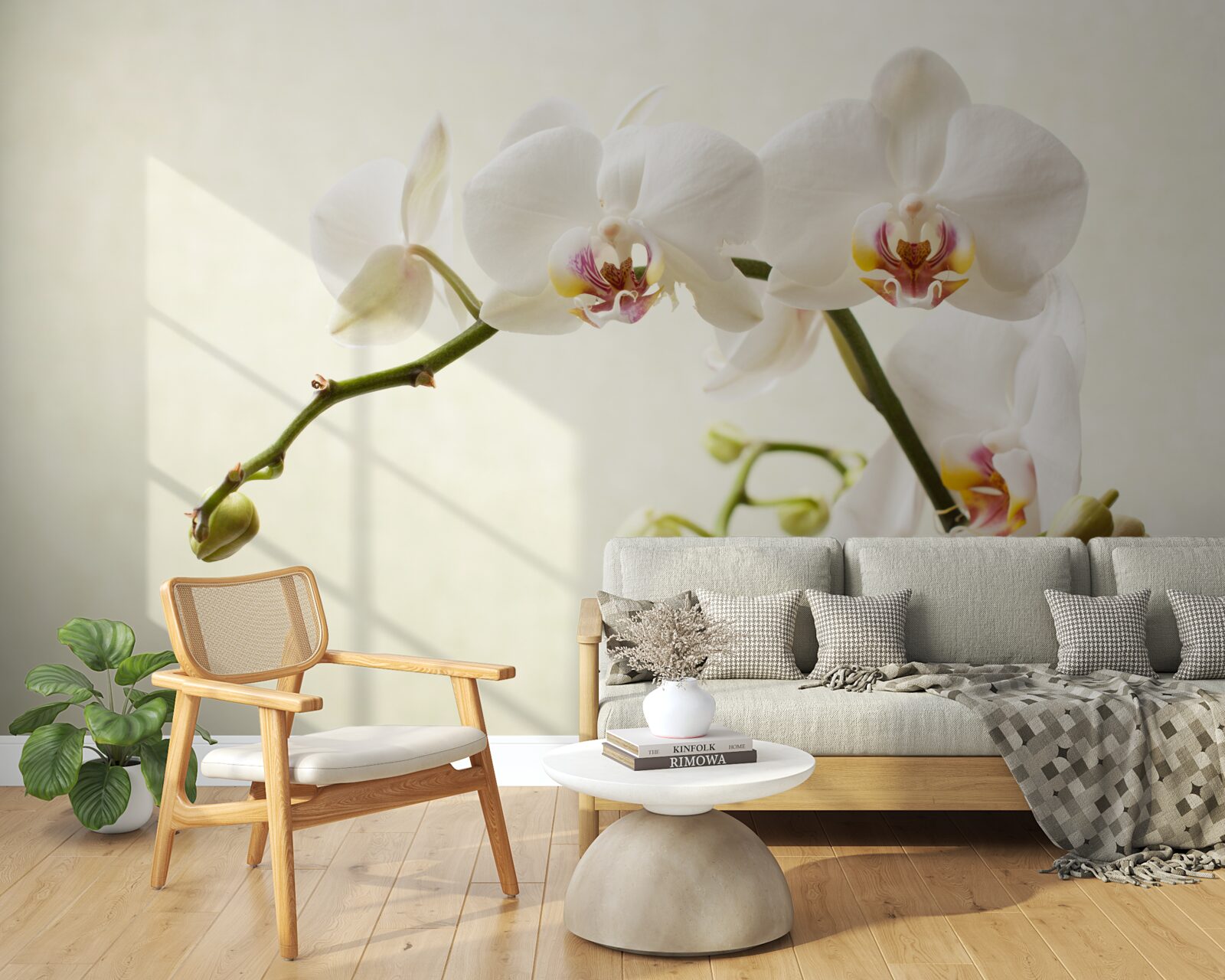 Fototapeta gałęzie białej orchidei na jasnym tle