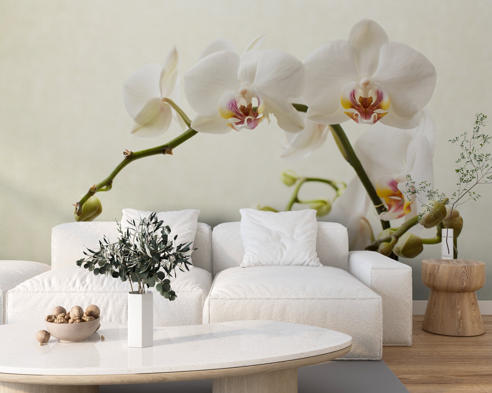 Fototapeta gałęzie białej orchidei na jasnym tle