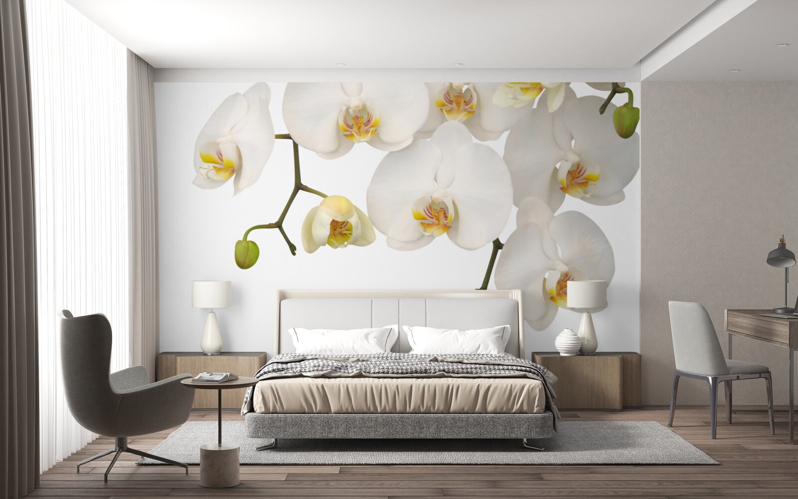 Fototapeta zwisają orchidee z białymi kwiatami