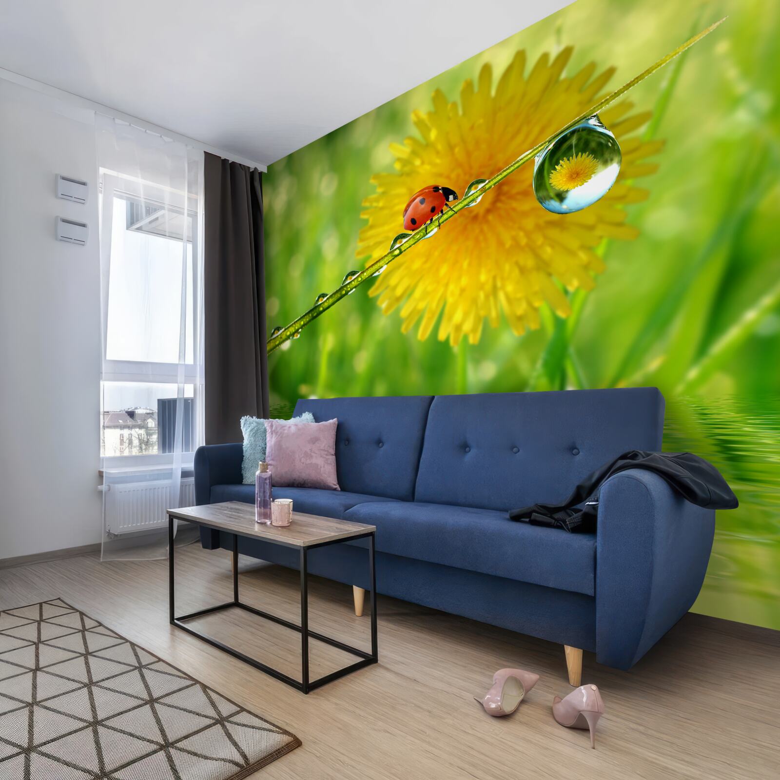 Fototapeta biedronka drzemie na gałęzi z rosą