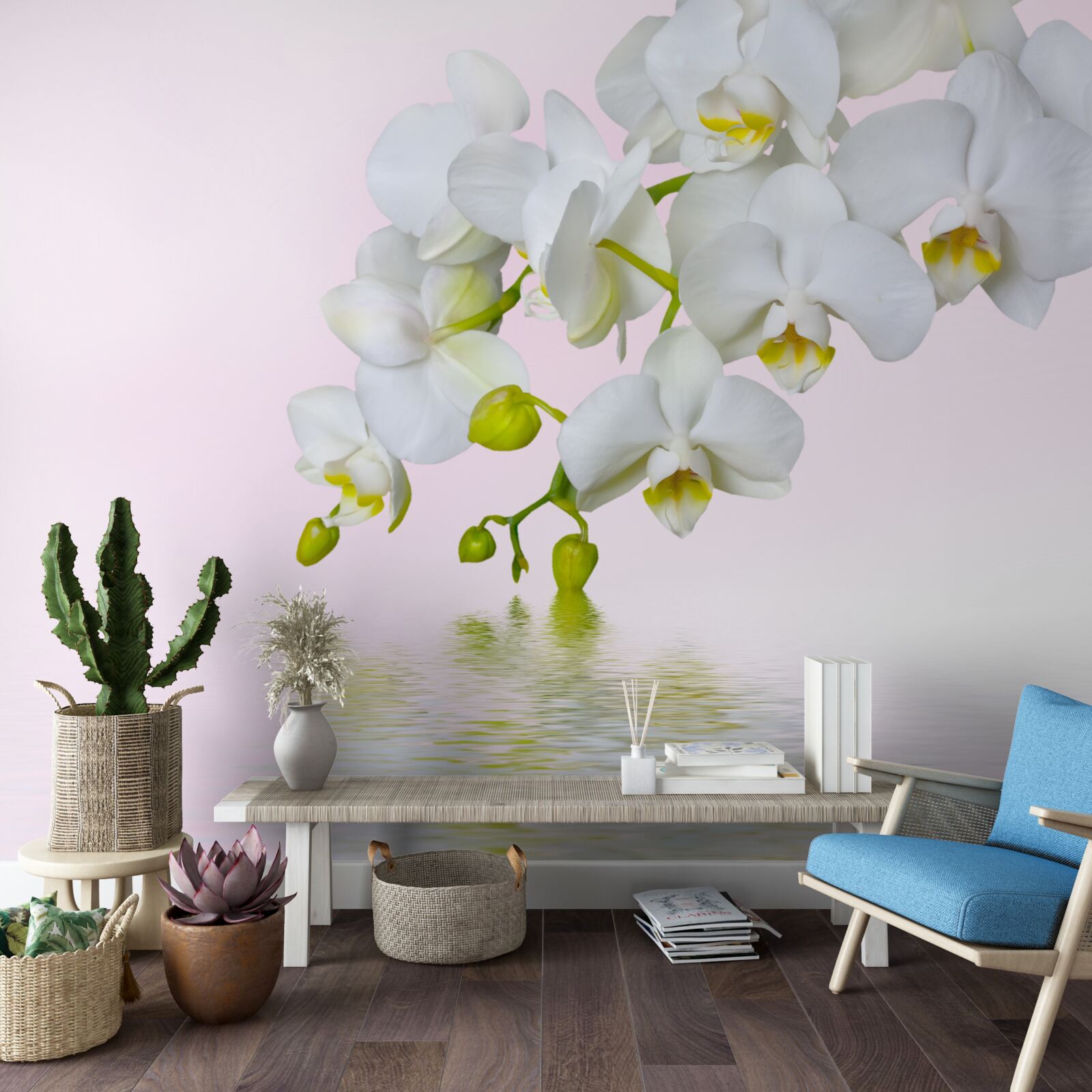 Fototapeta biała orchidea z kwitnącymi kwiatami i pąkami w pobliżu wody