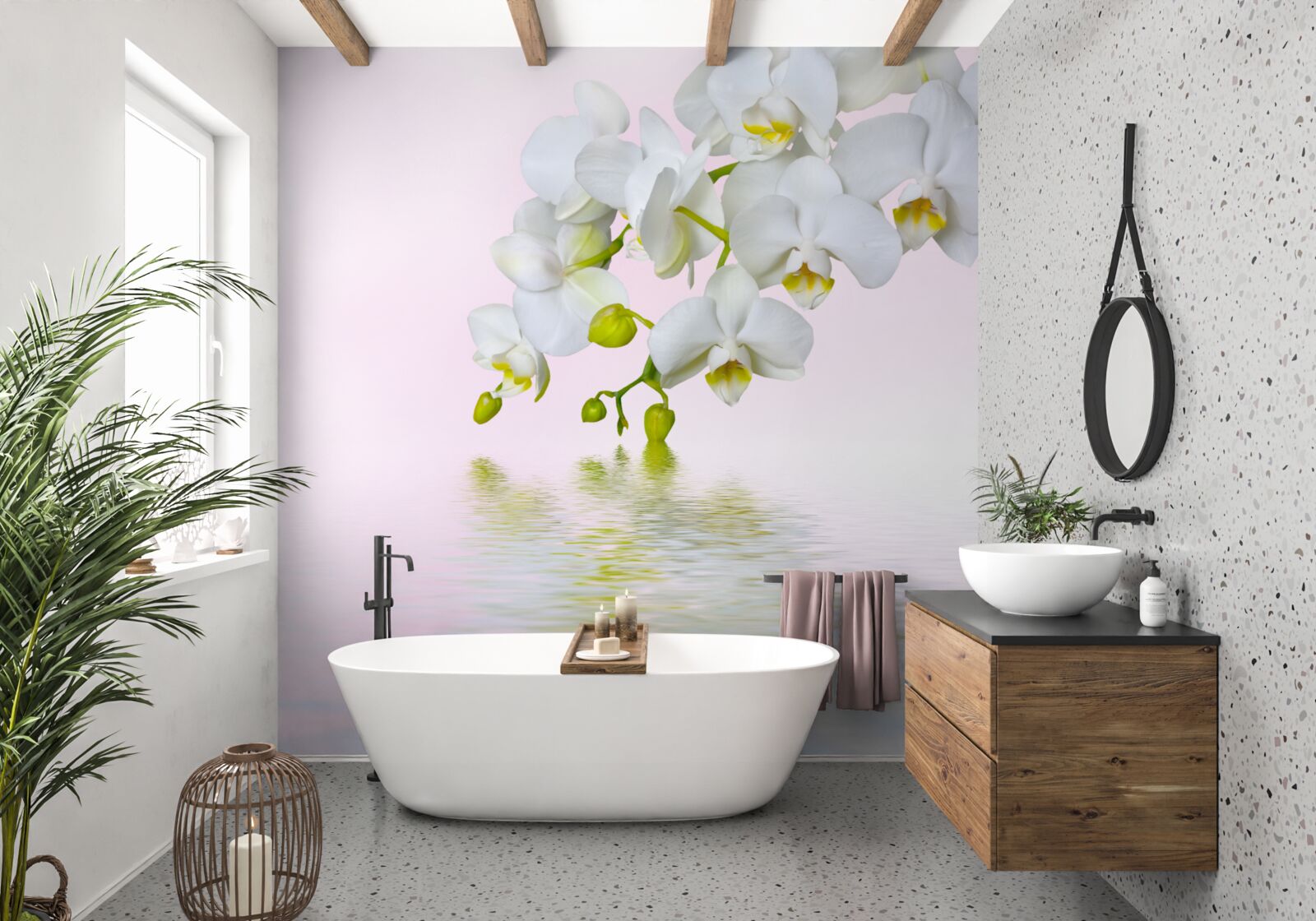 Fototapeta biała orchidea z kwitnącymi kwiatami i pąkami w pobliżu wody