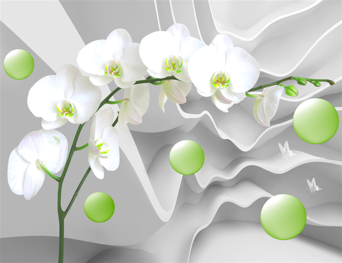Fototapeta potajemnie pływające zielone kulki i blada orchidea