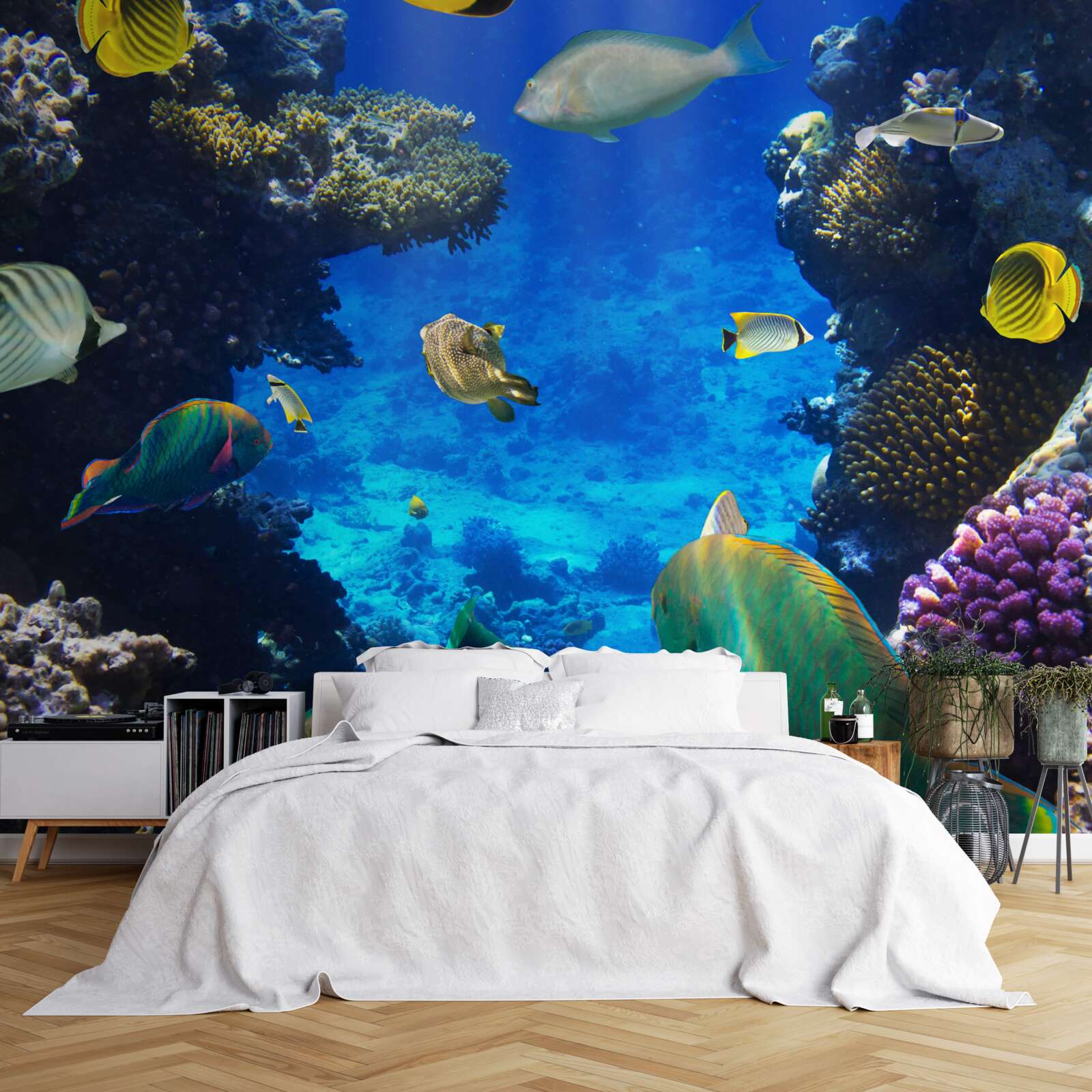 Fototapeta tajemnicze głębiny oceanu