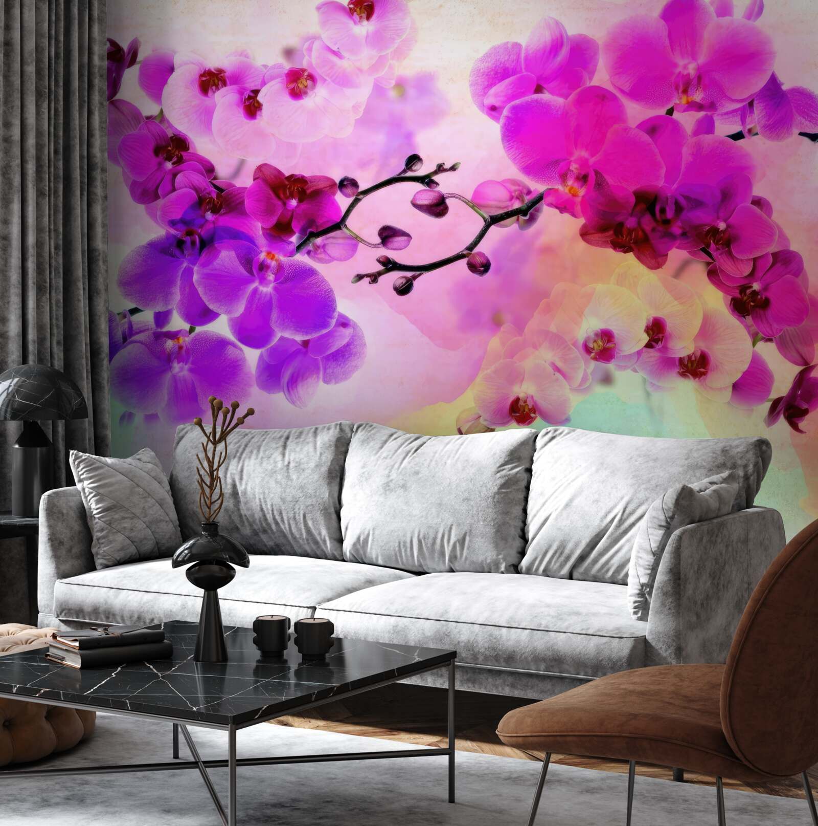 Fototapeta orchidee we wszystkich odcieniach tęczy