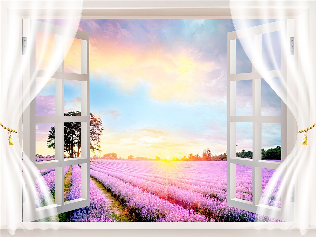 Fototapeta panorama pola lawendy z okna