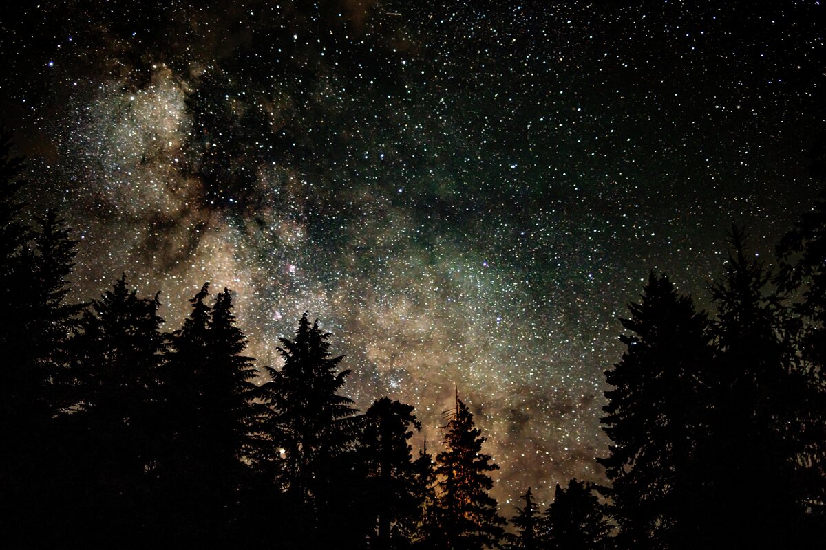 Fototapeta las nocą i gwiaździste niebo