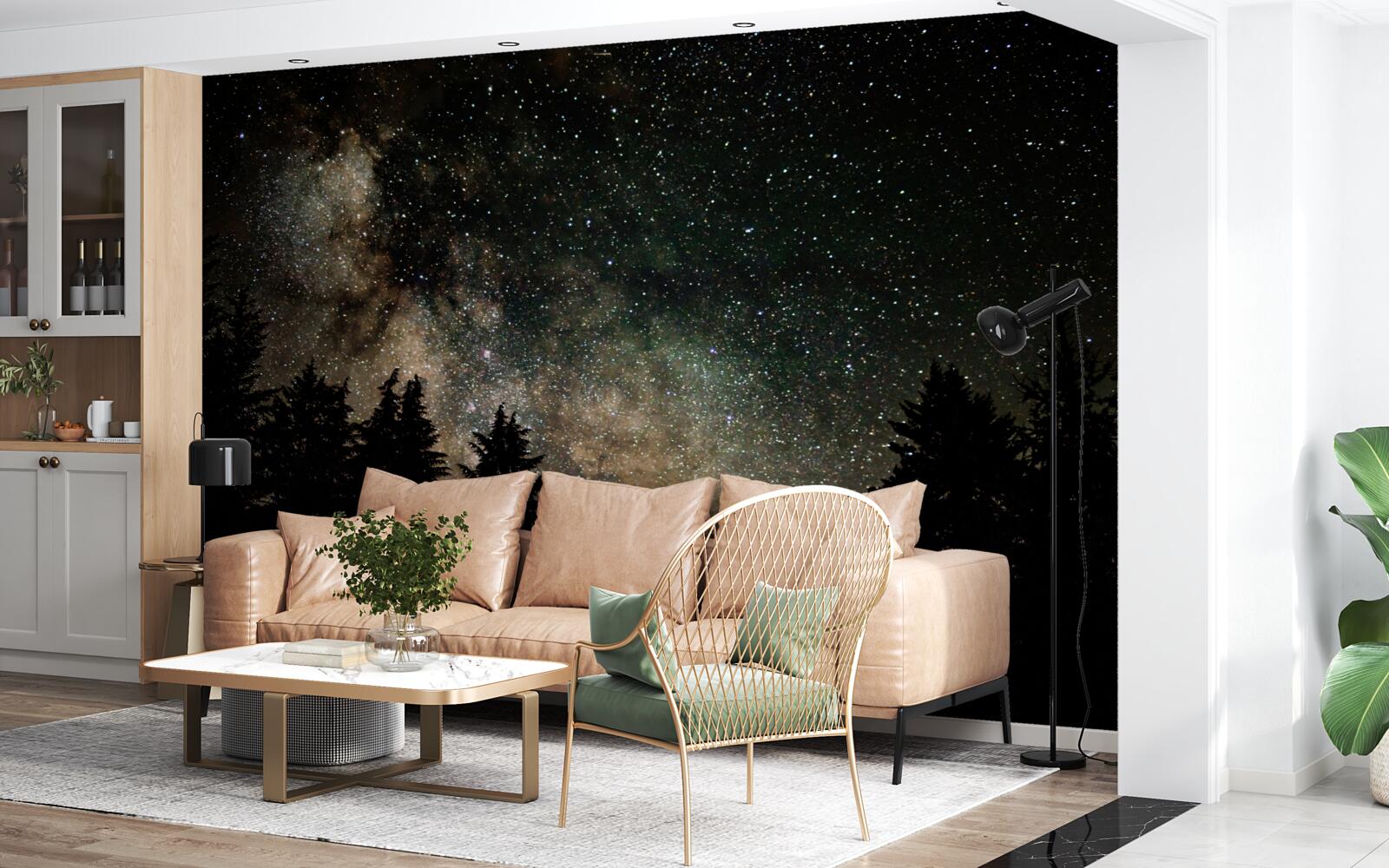 Fototapeta las nocą i gwiaździste niebo