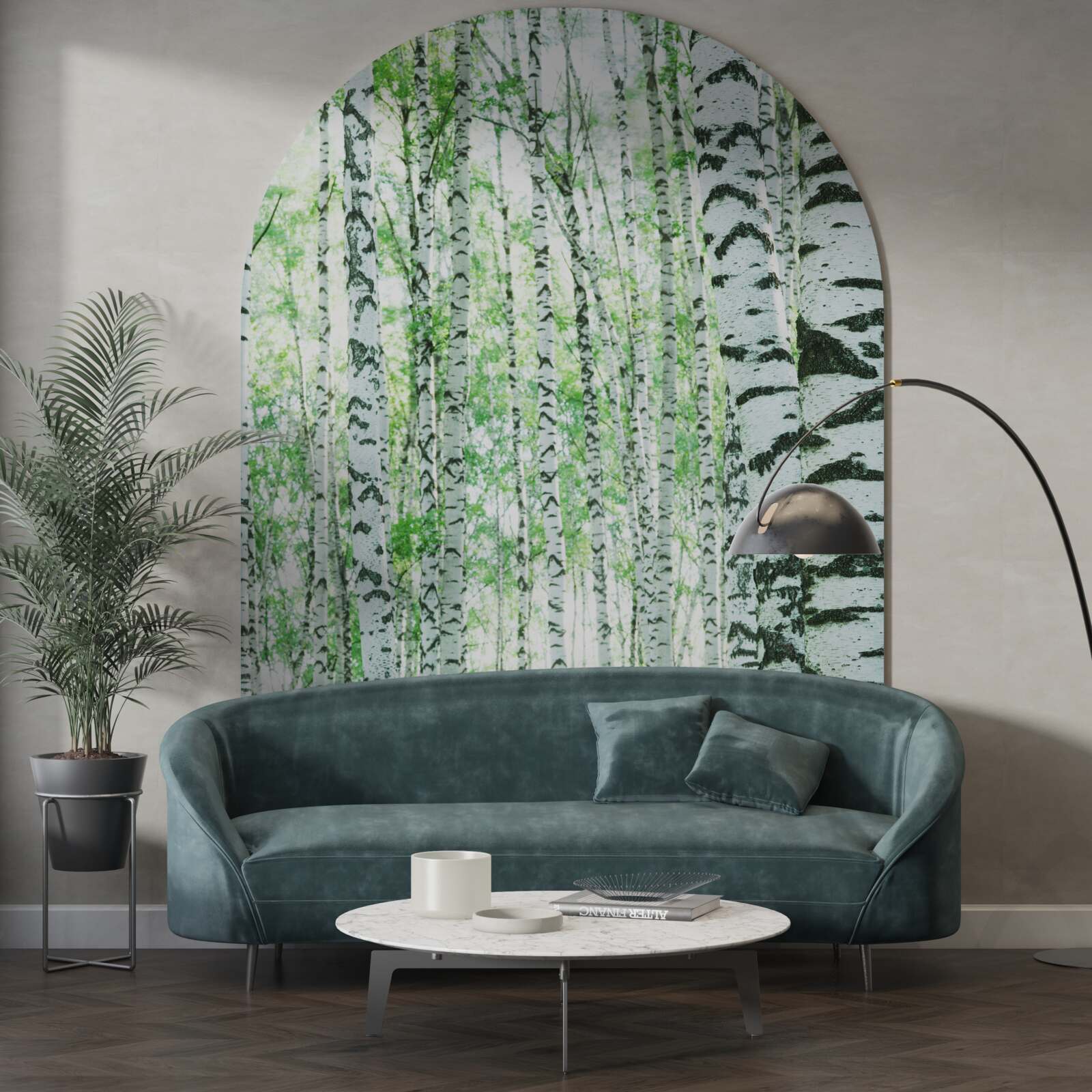 Fototapeta jasne brzozy