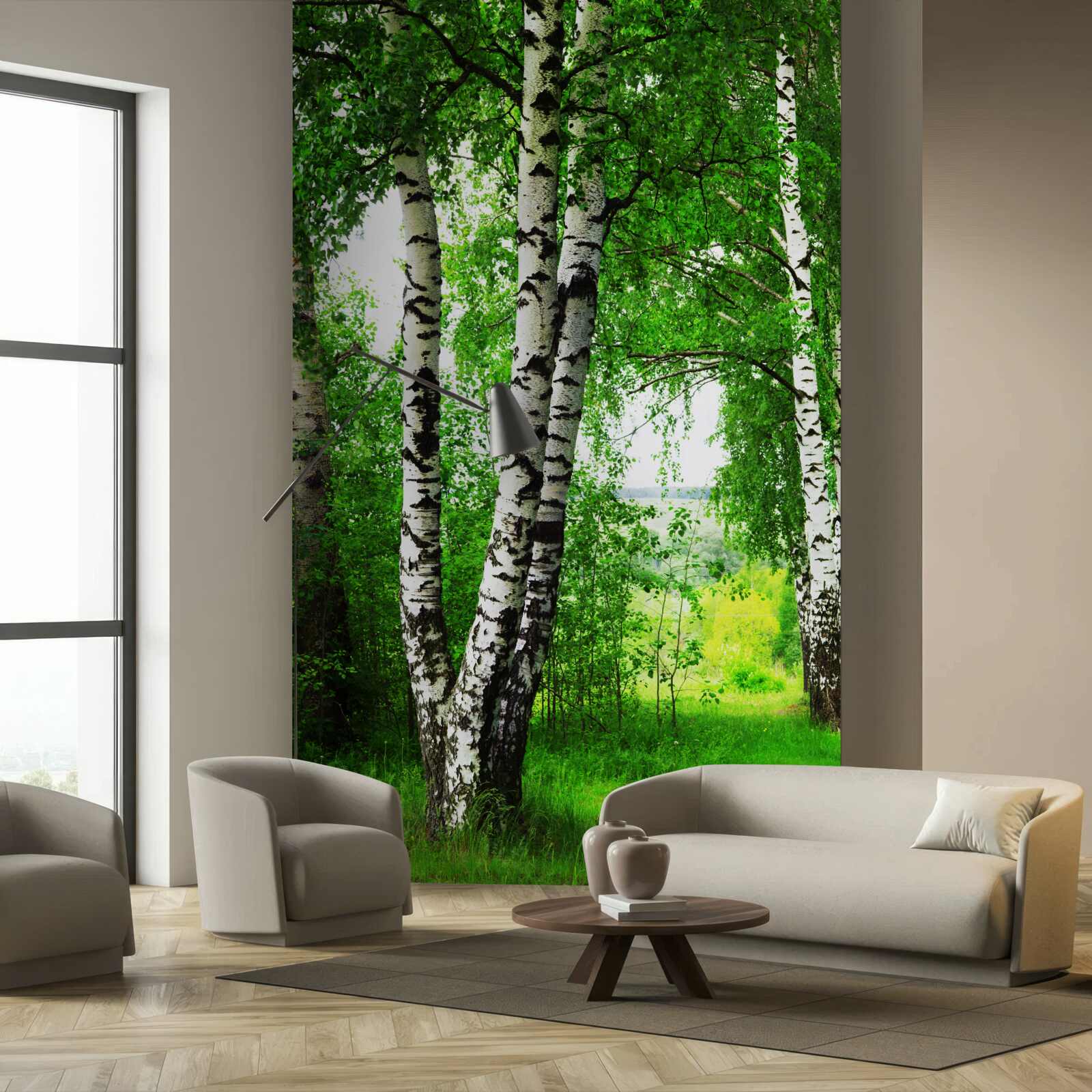 Fototapeta gaj brzóz na polanie
