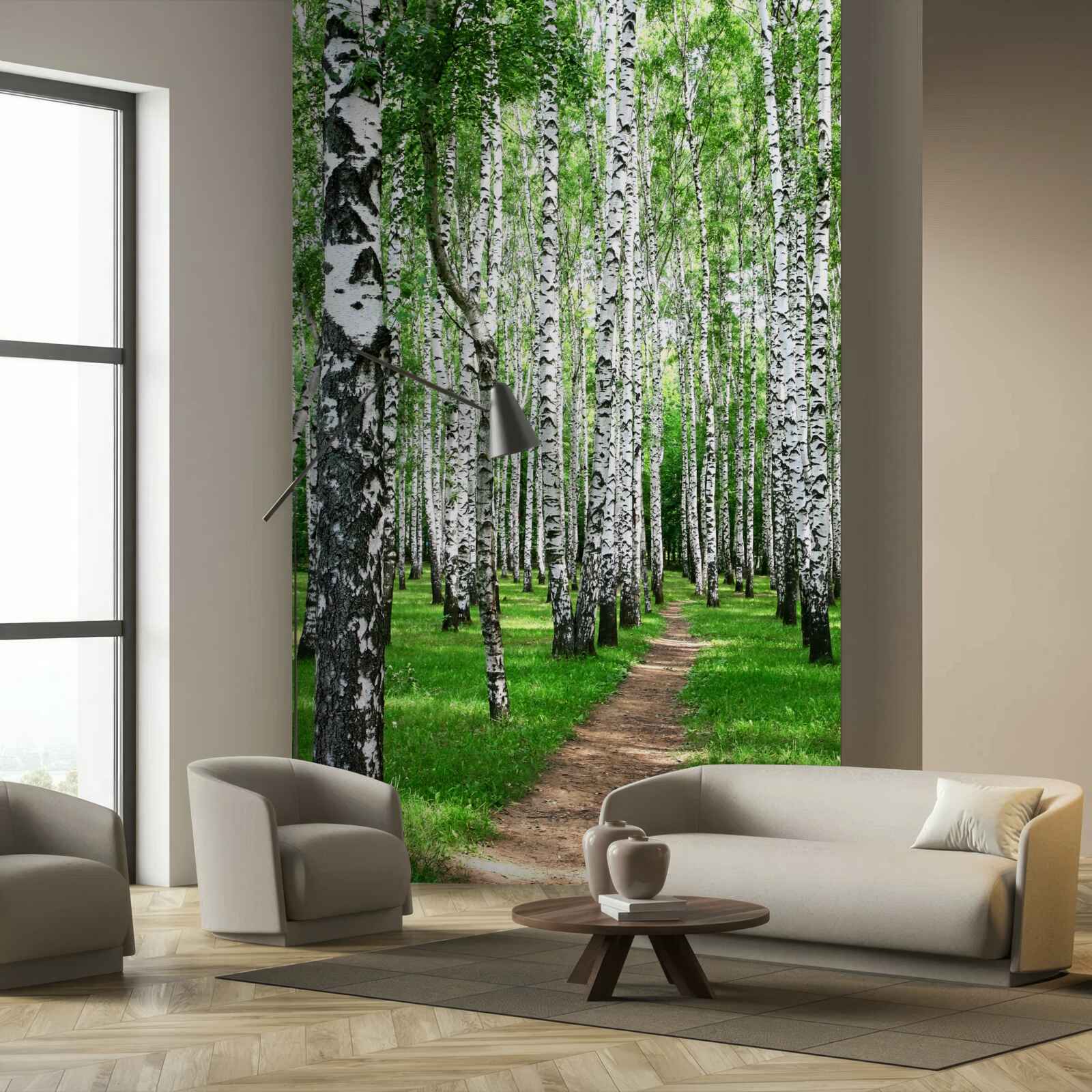 Fototapeta ścieżka wśród brzóz