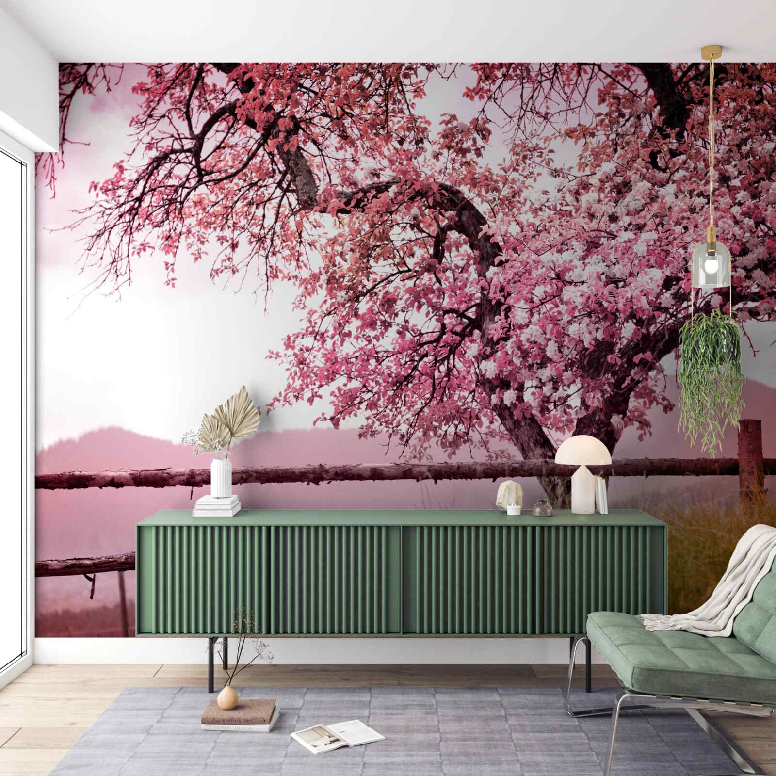 Fototapeta kwitnące drzewo sakura