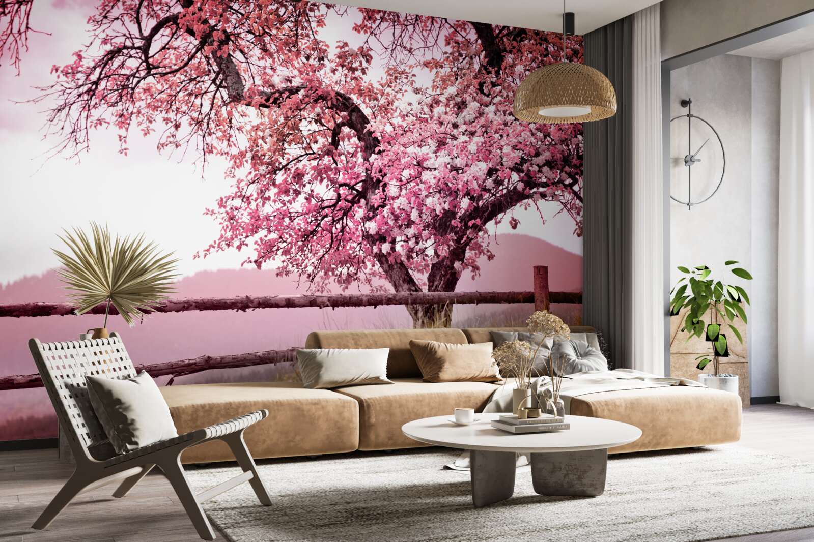 Fototapeta kwitnące drzewo sakura