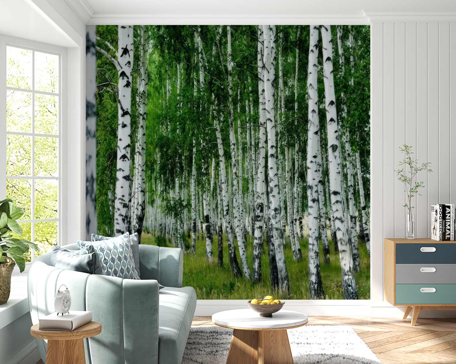 Fototapeta gaj brzozowy