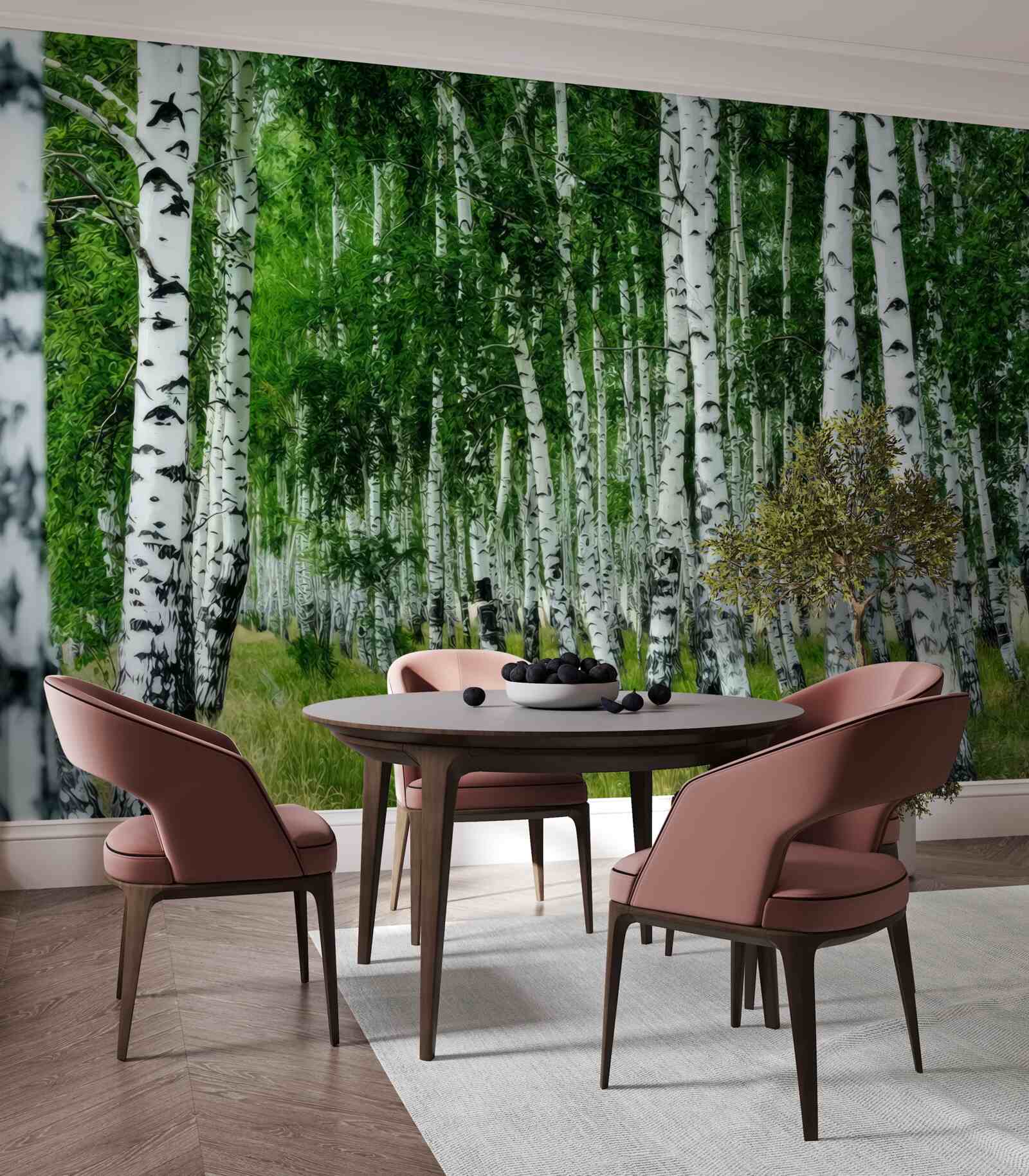 Fototapeta gęsty gaj brzozowy