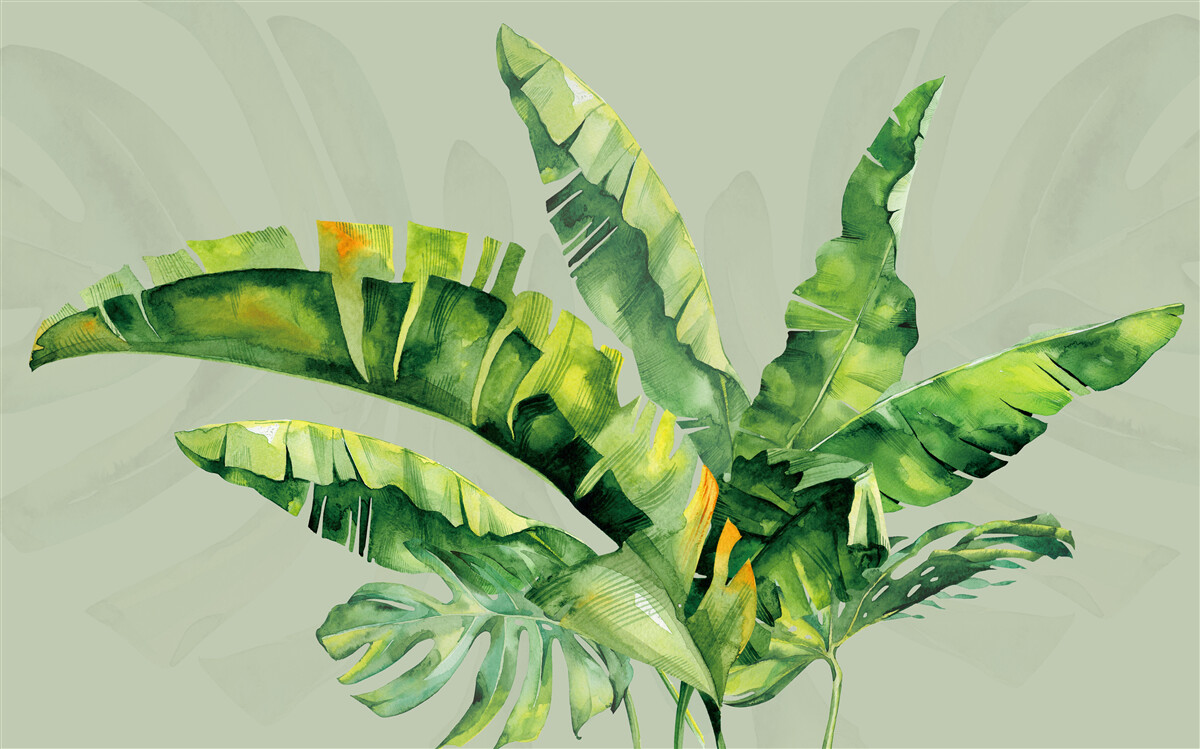 Fototapeta monstera i zielona paproć