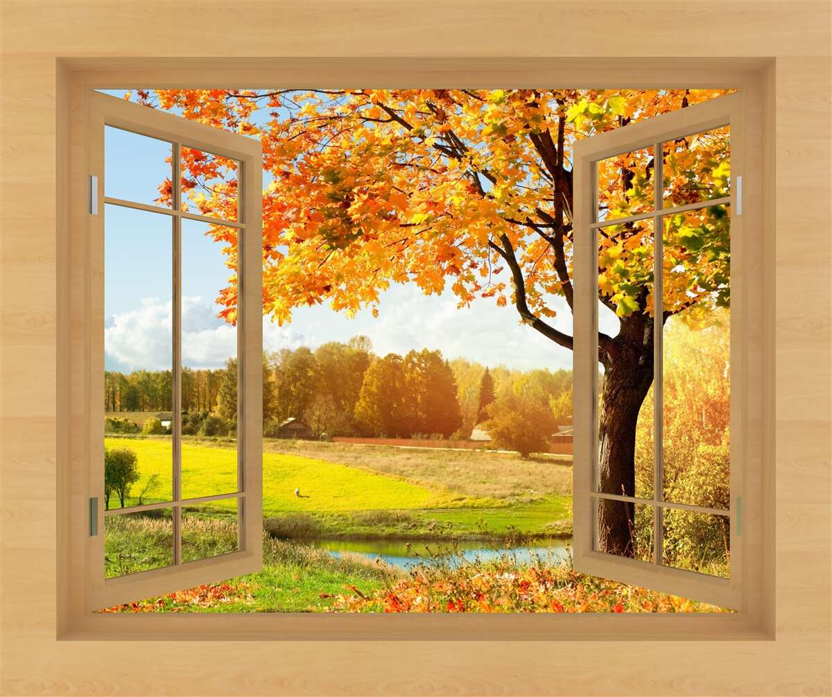 Fototapeta jesienny widok z okna