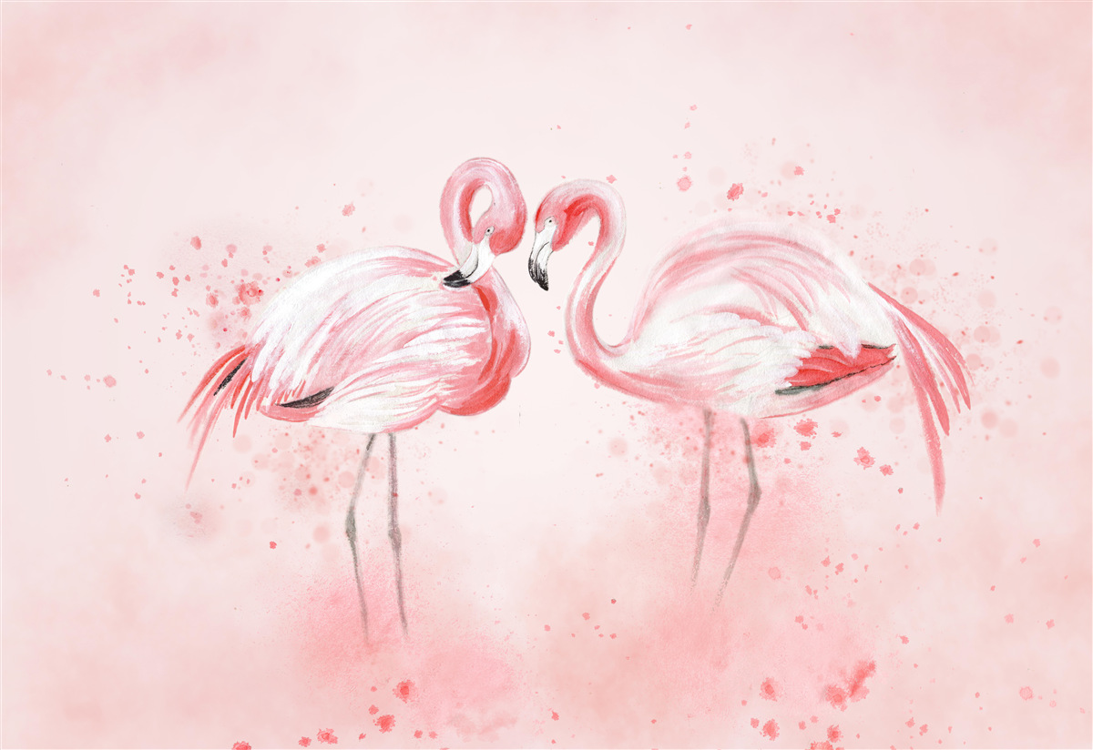 Fototapeta dwa flamingi