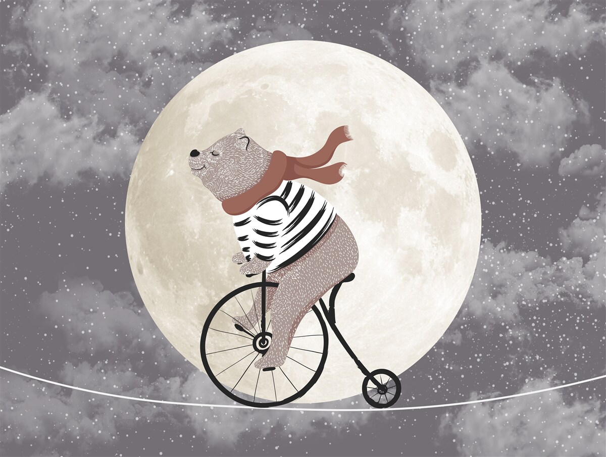 Fototapeta panda cyrkowa na rowerze