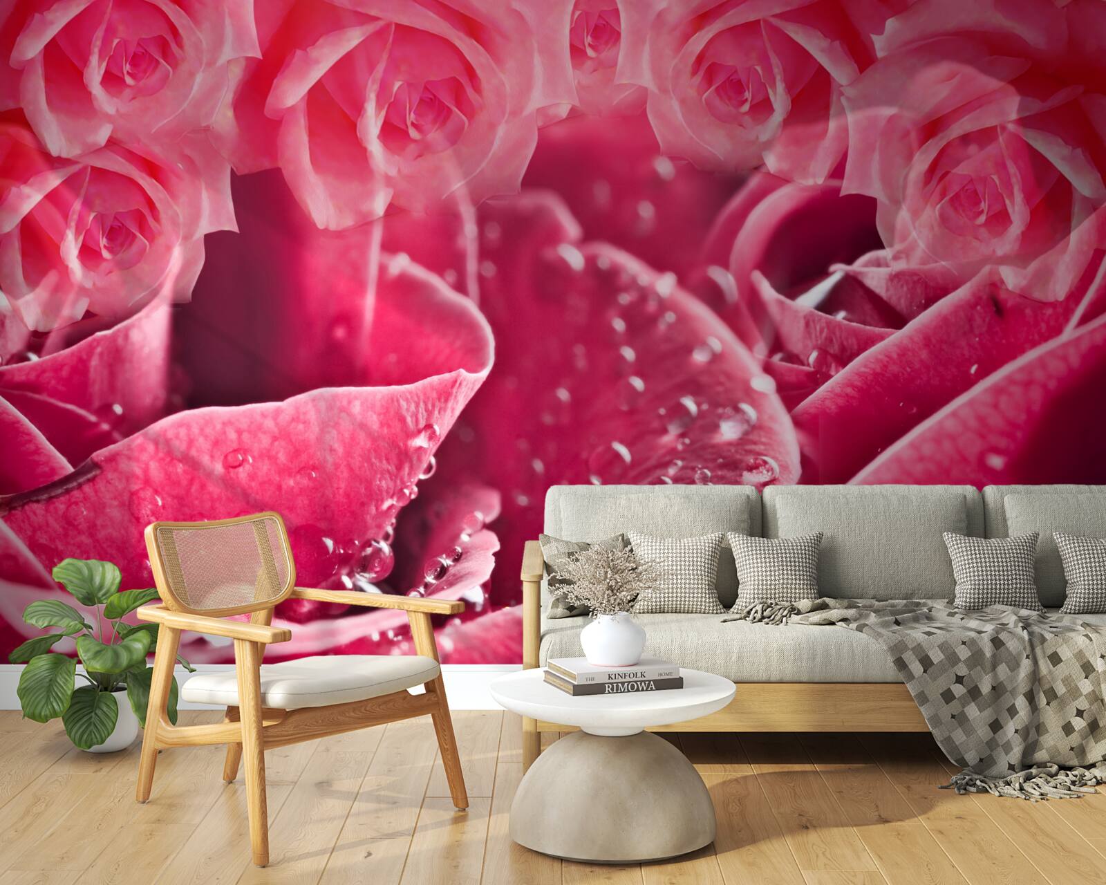 Fototapeta krople rosy na róży