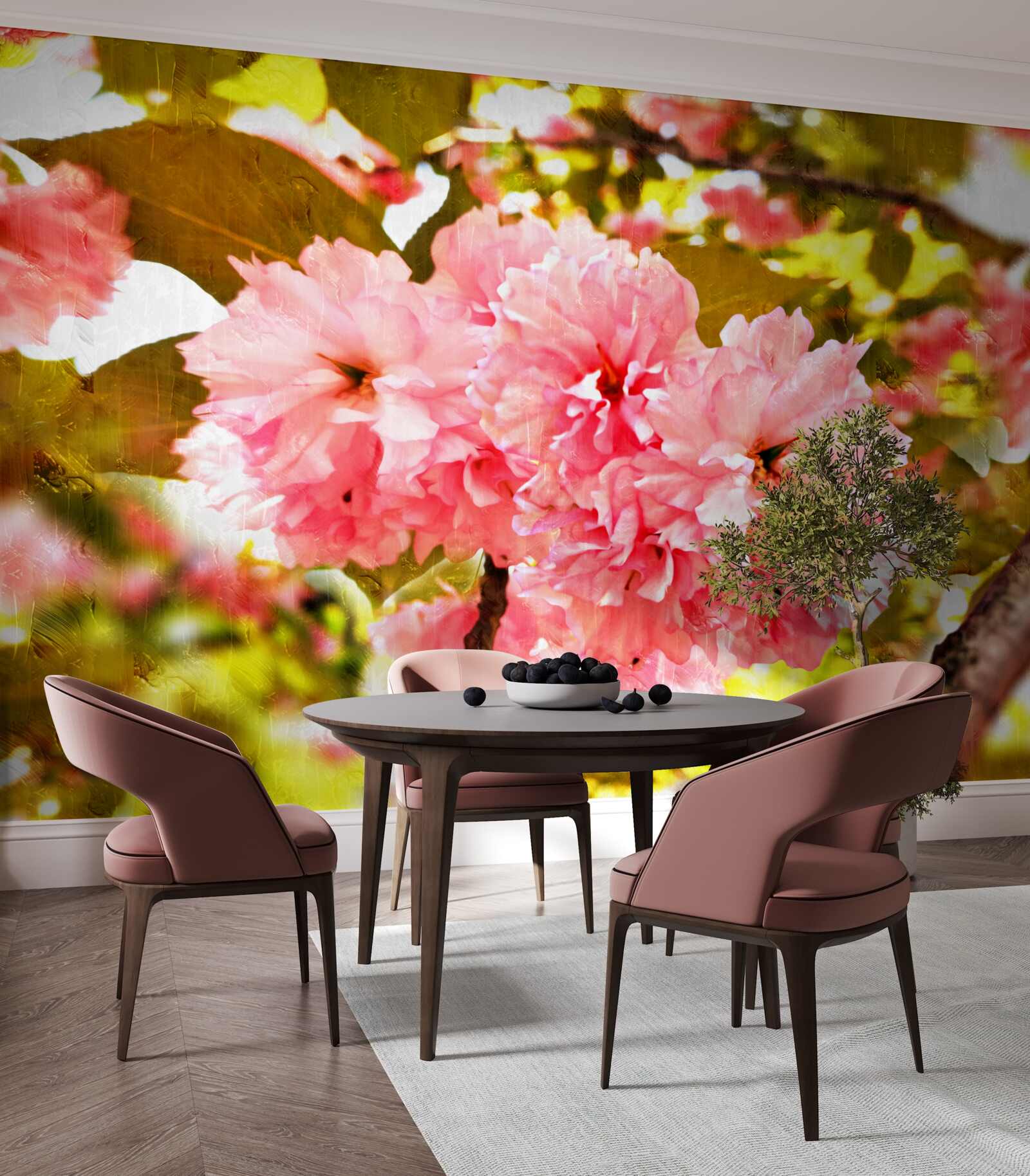 Fototapeta kanzan sakura w pełnym rozkwicie