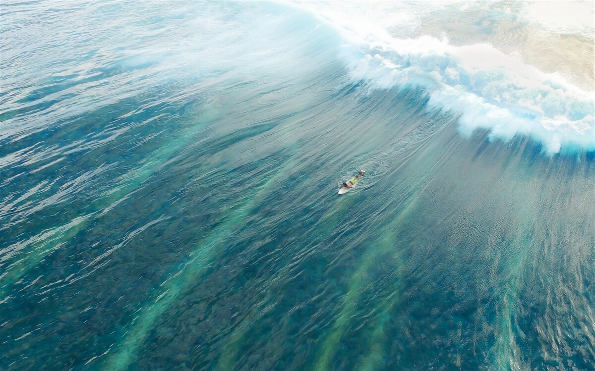 Fototapeta pokonywanie fal oceanu poprzez surfowanie